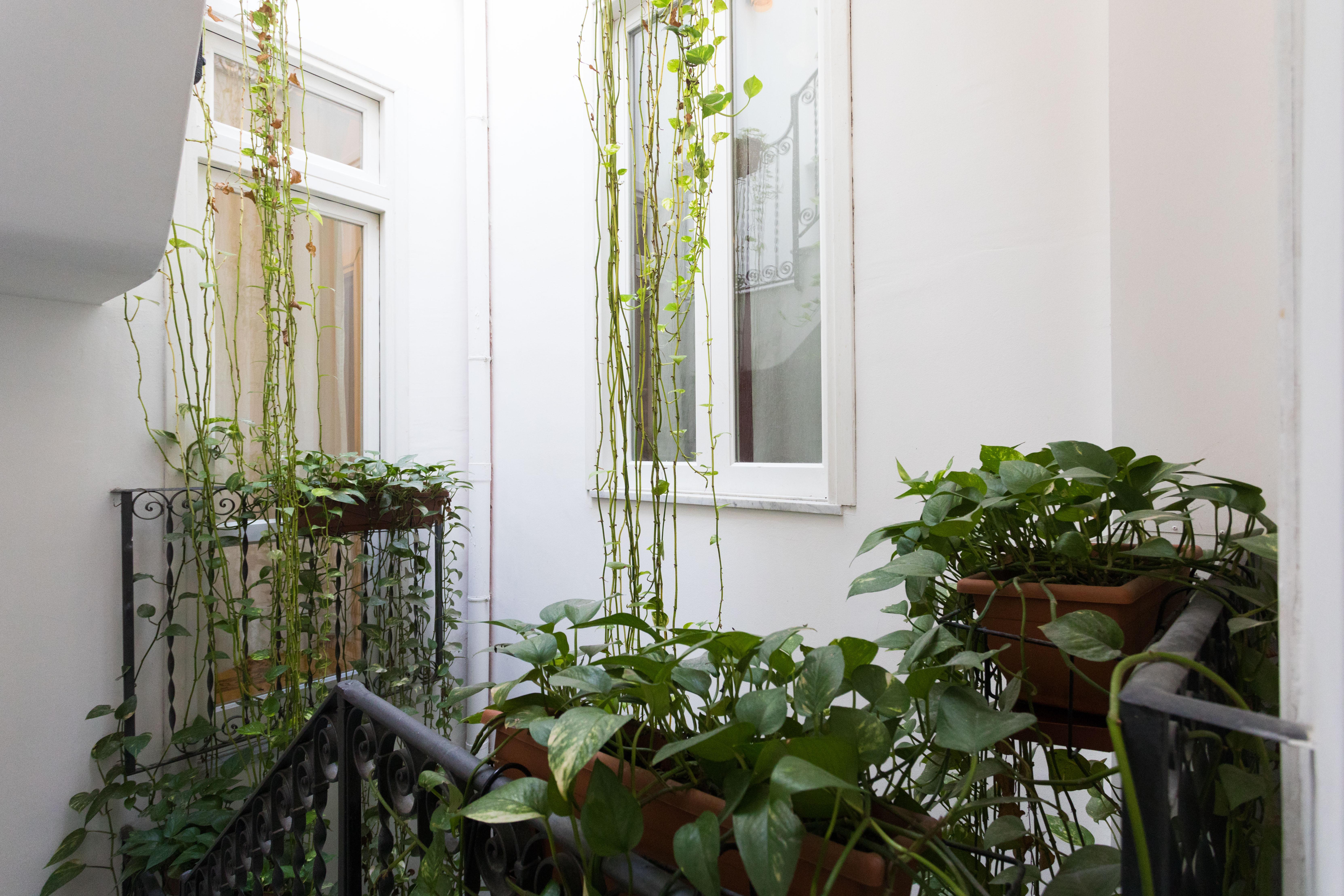 Ai Tintori Bed & Breakfast Palermo Dış mekan fotoğraf
